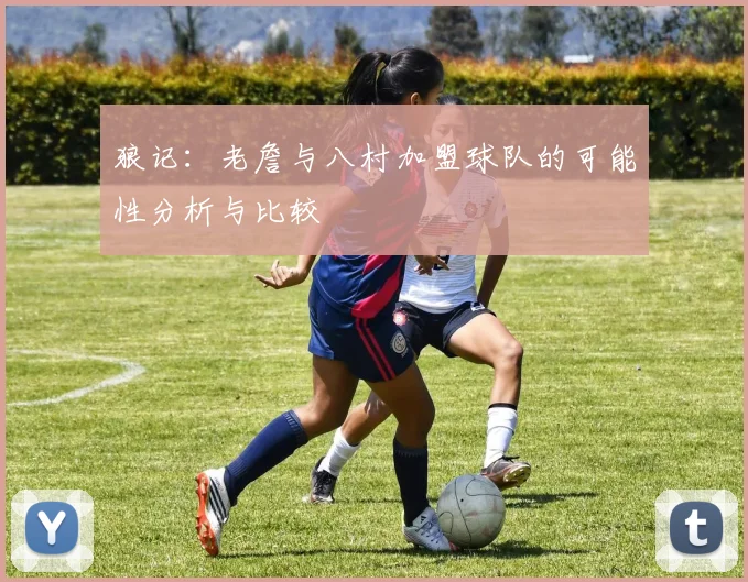 狼记：老詹与八村加盟球队的可能性分析与比较